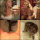 Josie shits while sitting on a toilet and video-records her poop action from a "between the legs" perspective. 5 great scenes presented in DVD-quality 360P video! 228MB, MP4 file requires high-speed Internet.